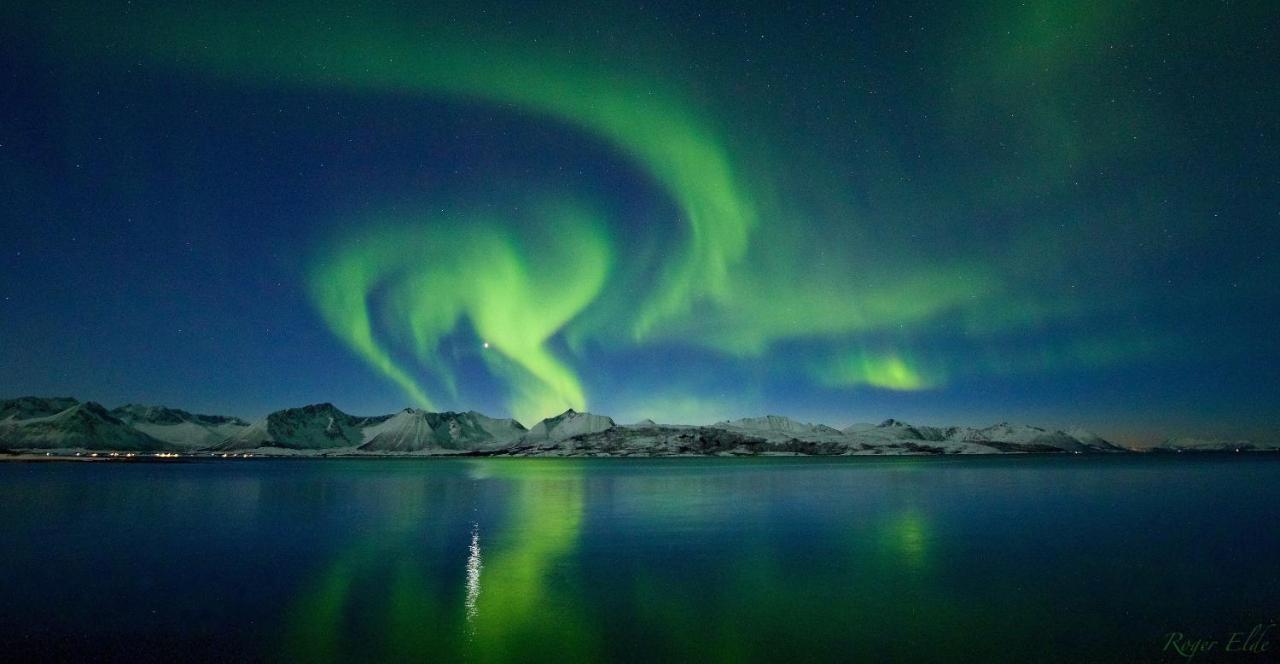 Wonderinn Arctic Utstrand Bagian luar foto