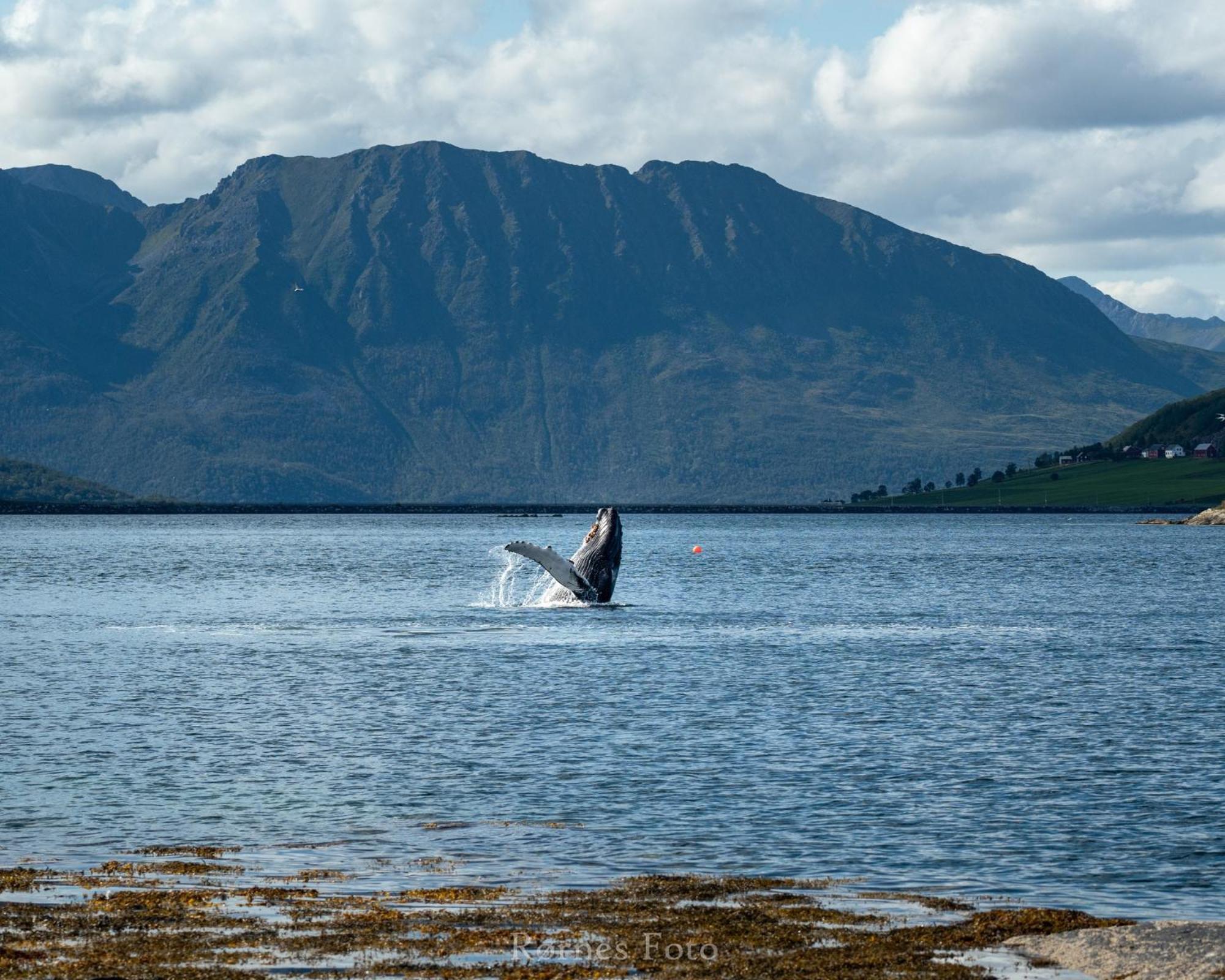 Wonderinn Arctic Utstrand Bagian luar foto